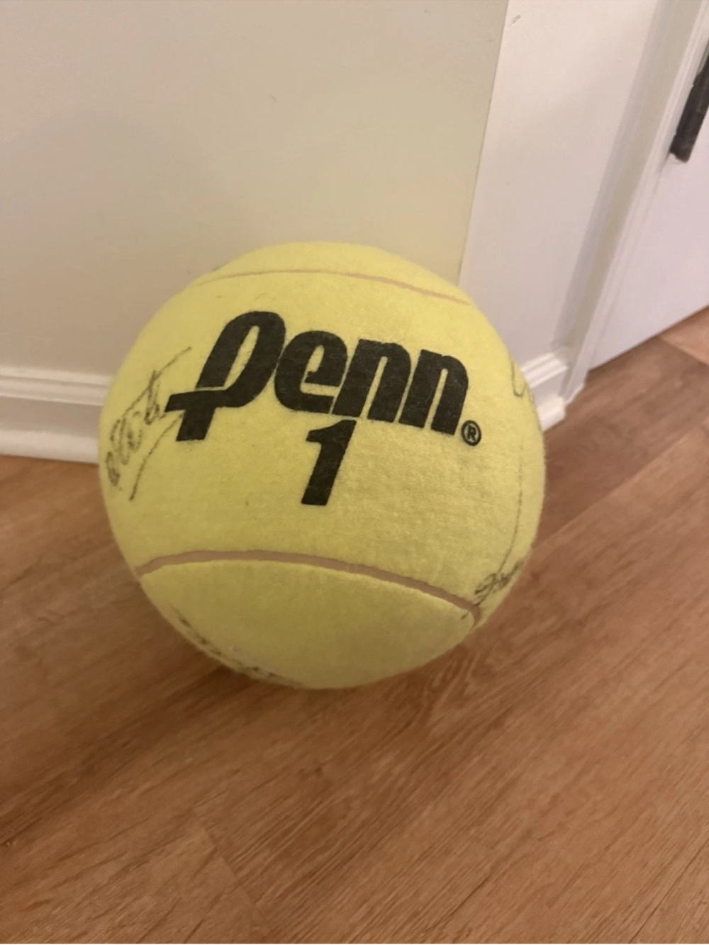Penn Oversized Tennis Ball Signed by several players